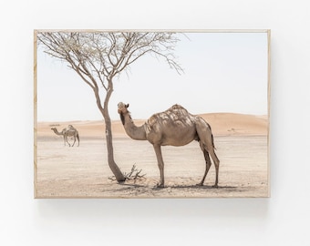Camel Print, Camel Wall Art, Peekaboo Print, Bohemian Print, Modern Minimalist Poster, Camel Photography, Desert Animal Print,Moroccan Decor