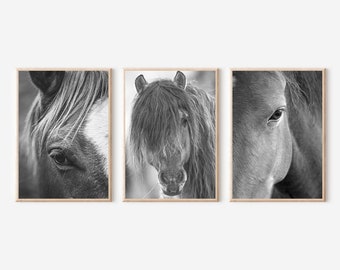Horse Prints Set of 3, Horse Black and White Printable, Farmhouse Wall Decor, Horse Wall Art, Horses Poster, Farm Animal Prints, Horses Art