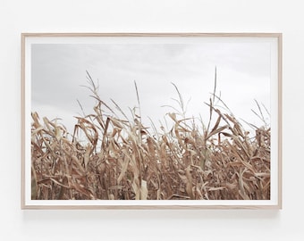 Farmhouse Print, Nature Wall Decor, Farmhouse Landscape, Earthy Tones Print, Dried Grass Print, Wheat Field Print, Large Wall Art, Art Print