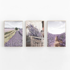 Lavender Print Set of 3, Botanical Print, French Country Decor, Mediterranean Print Set, France Provence Set of 3, France Wall Art