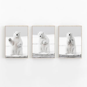 Polar Bear Print Set of 3, Nursery Decor, Snow Animal Prints, Set of 3 Arctic Nursery Prints, Bear Cub Animal Wall Art, White Polar Bear Set