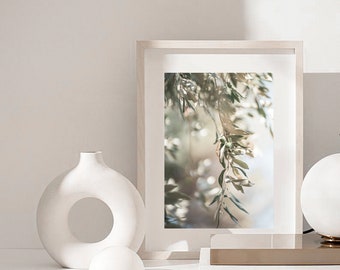 Olive Branch Print: Santorini Greece Botanical Wall Art (Digital Download