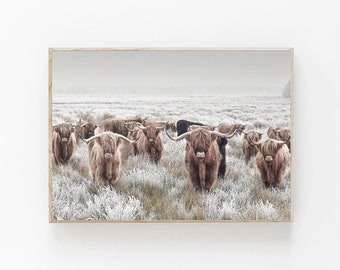 Könnte beinhalten: Gerahmter Druck mit einer Herde Highland-Rinder auf einem Feld. Die Rinder haben langes, zotteliges braunes Fell und große Hörner. Das Feld ist mit Frost bedeckt und der Himmel ist bedeckt. Der Druck ist in einem Holzrahmen.