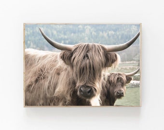 Highland Kuh Druck, Scottish Highland Kuh, Bauernhausdekor, druckbare Wandkunst, Stier Foto, Digitale Kuh Wandkunst, Highland Kuh Wandkunst