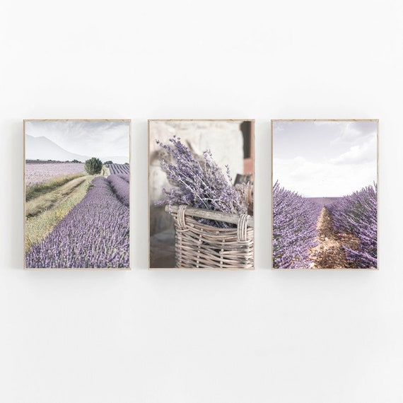 Lavender Print Set of 3, Botanical Print, French Country Decor, Mediterranean Print Set, France Provence Set of 3, France Wall Art