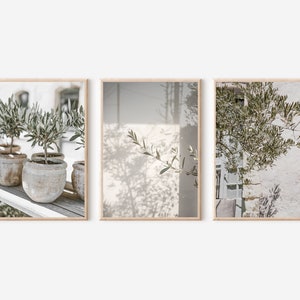 Olive Branch Print, Mediterranean Wall Art, Olive Tree Printable Art, Botanical Print, Olive Poster, Olive Tree Art Set, Olive Tree Wall Art