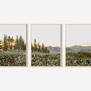 Nature Photography Prints Downloadable Mountain Poster Nature Landscape Wall Art Wildflowers Photography Nature Set 3 Prints Large Wall Art