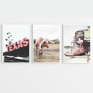 May include: Three framed prints with a Texas theme. The first print shows a neon sign that says "TEXAS". The second print shows a brown and white longhorn steer standing in a field. The third print shows a large red, white, and blue cowboy boot with the words "BIG TEXAN" on it.