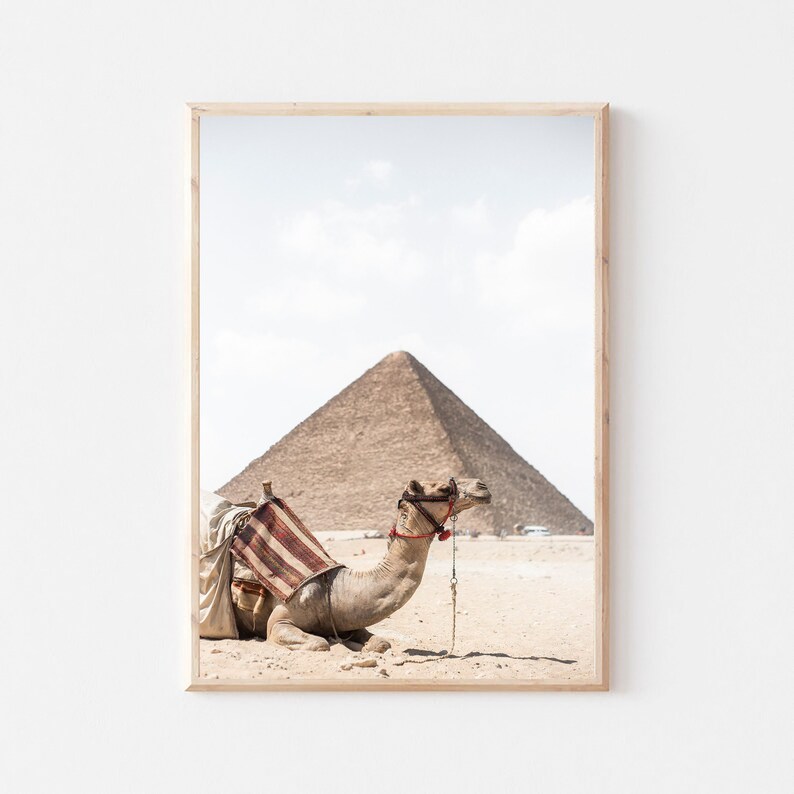 Camel Print Camel Wall Art Desert Animal Art Print Moroccan Decor Arabic Wall Art Peekaboo Print Safari Nursery Art Egypt Pyramids Print image 1