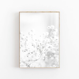 Pode incluir: Uma fotografia a preto e branco de um delicado cacho de pequenas flores brancas com um fundo desfocado.