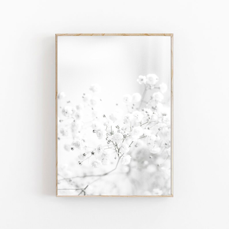 Pode incluir: Uma fotografia a preto e branco de um delicado cacho de pequenas flores brancas com um fundo desfocado.