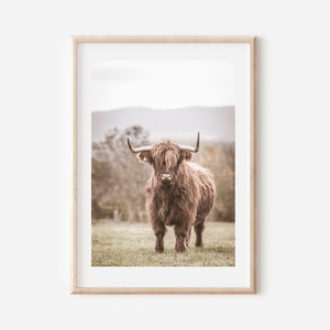 Peut inclure: Une vache Highland brune avec une fourrure longue et hirsute et de grandes cornes se tient dans un champ d'herbe verte. La vache regarde directement la cam&eacute;ra.