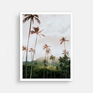 May include: A photograph of a tropical landscape with palm trees silhouetted against a cloudy sky. The trees are in the foreground, with a lush green hillside in the background.