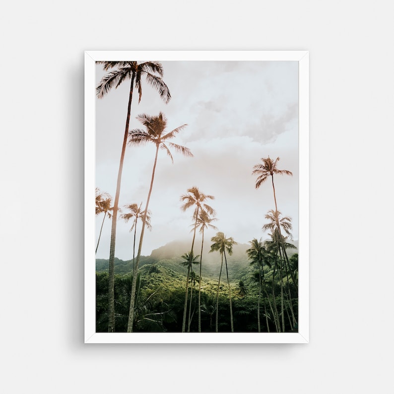 May include: A photograph of a tropical landscape with palm trees silhouetted against a cloudy sky. The trees are in the foreground, with a lush green hillside in the background.