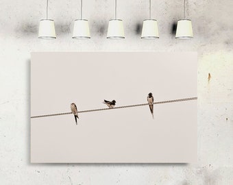 Swallow Bird Print, Little Bird Wall Art, Bird Lover Gift, Minimalistische Zwaluwen Fotografisch, Wilde Dieren, Housewarming Gift, Swallow Wall Art