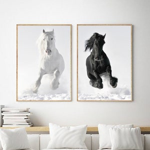May include: Two framed black and white photographs of horses running through snow. The horse on the left is white and the horse on the right is black.