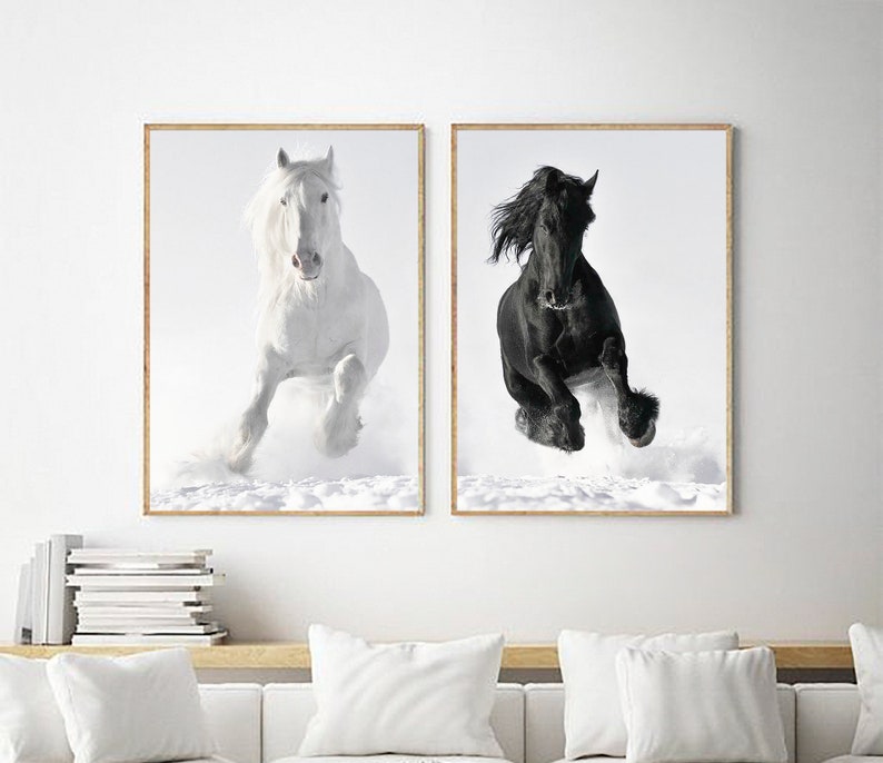 May include: Two framed black and white photographs of horses running through snow. The horse on the left is white and the horse on the right is black.