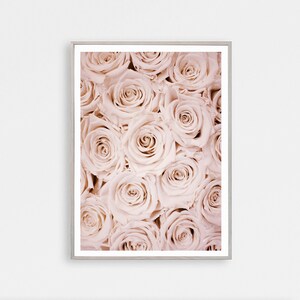 May include: A close-up image of a bouquet of pale pink roses. The roses are arranged in a tight cluster, with their petals overlapping.