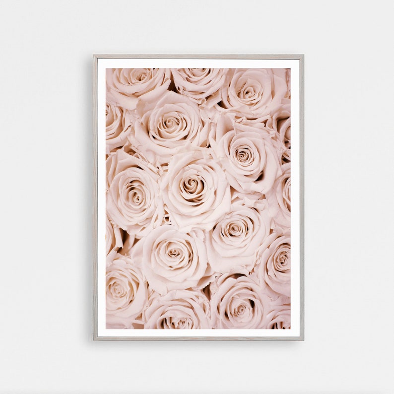 May include: A close-up image of a bouquet of pale pink roses. The roses are arranged in a tight cluster, with their petals overlapping.