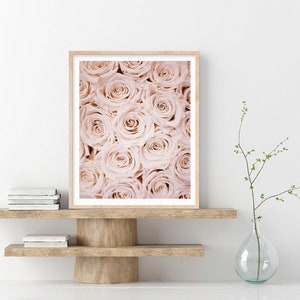 May include: A framed print of a close-up of a bouquet of pale pink roses.