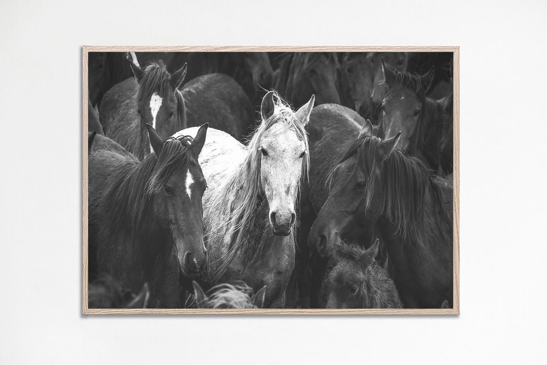 Horse Print Black and White, Horse Wall Art, Equestrian Print, Horse