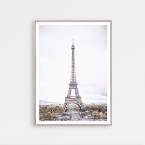 May include: A black and white photograph of the Eiffel Tower in Paris, France. The tower is in the center of the image and is surrounded by trees and buildings. The sky is cloudy and gray.