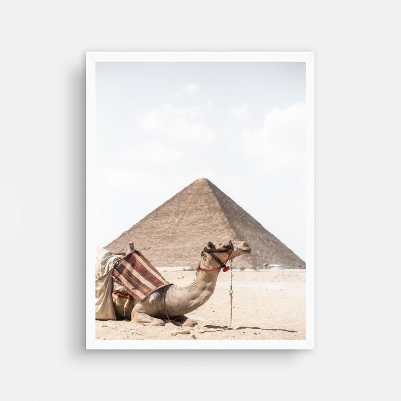 Camel Print Camel Wall Art Desert Animal Art Print Moroccan Decor Arabic Wall Art Peekaboo Print Safari Nursery Art Egypt Pyramids Print image 4