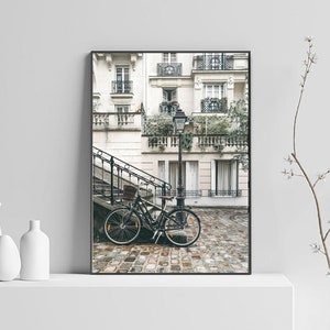 May include: A black bicycle is parked on a cobblestone street in front of a white building with a black wrought iron railing. The building has multiple windows and balconies with plants growing on them. A street lamp is in the background.