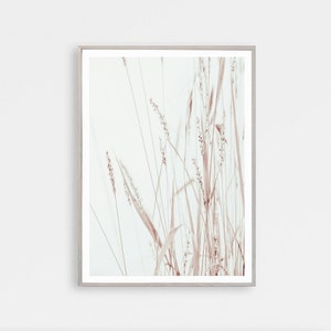 Botanical Print, Dried Grass Art, Kitchen Decor, Farmhouse Art, Beige Art Print, Grass Print, Modern Minimalist Poster, Printable Wall Decor image 4