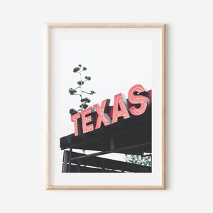 May include: A framed photograph of a red neon sign that reads "TEXAS" with a green plant growing up through the sign.