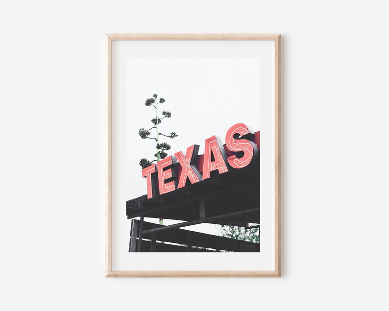 May include: A framed photograph of a red neon sign that reads "TEXAS" with a green plant growing up through the sign.