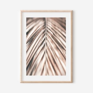 May include: Close-up photograph of a dried palm leaf with a light brown and beige color scheme.