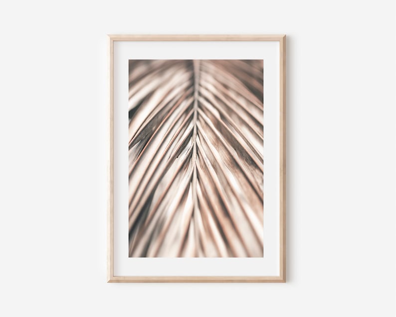 May include: Close-up photograph of a dried palm leaf with a light brown and beige color scheme.