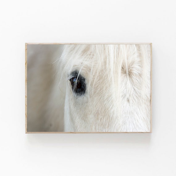 White Horse Print, Icelandic Horse Print, Modern Farmhouse Decor, Boho Printable, Scandinavian Wall Art, Icelandic Horse Close Up, Horse Art