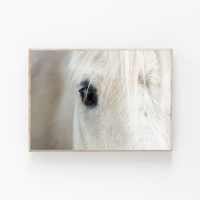 White Horse Print, Icelandic Horse Print, Modern Farmhouse Decor, Boho Printable, Scandinavian Wall Art, Icelandic Horse Close Up, Horse Art image 1