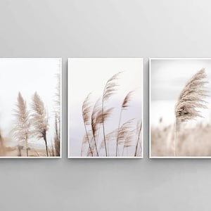 Conjunto de 3 impressões de capim-dos-pampas, decoração boho moderna, impressão de arte botânica, pôster minimalista moderno, grama seca para impressão, conjunto de 3 impressões neutras