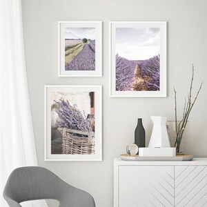 Puede incluir: Tres impresiones enmarcadas de campos de lavanda en la Provenza, Francia. La impresi&oacute;n superior izquierda muestra un campo de lavanda con un camino que conduce a una granja en la distancia. La impresi&oacute;n superior derecha muestra un campo de lavanda con un camino que conduce a un horizonte lejano. La impresi&oacute;n inferior muestra un primer plano de una cesta llena de lavanda.