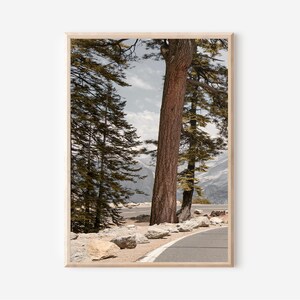 May include: A framed landscape print featuring a scenic mountain road. The image showcases tall trees with brown trunks and green foliage, framing a winding asphalt road. Large rocks line the roadside, with mountains visible in the background.