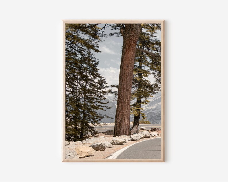 May include: A framed landscape print featuring a scenic mountain road. The image showcases tall trees with brown trunks and green foliage, framing a winding asphalt road. Large rocks line the roadside, with mountains visible in the background.
