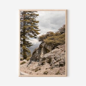 May include: A framed landscape print featuring a mountain scene. The image showcases a tall evergreen tree on the left, rocky terrain, and a view of snow-capped mountains under a cloudy sky. The print has a natural wood frame.