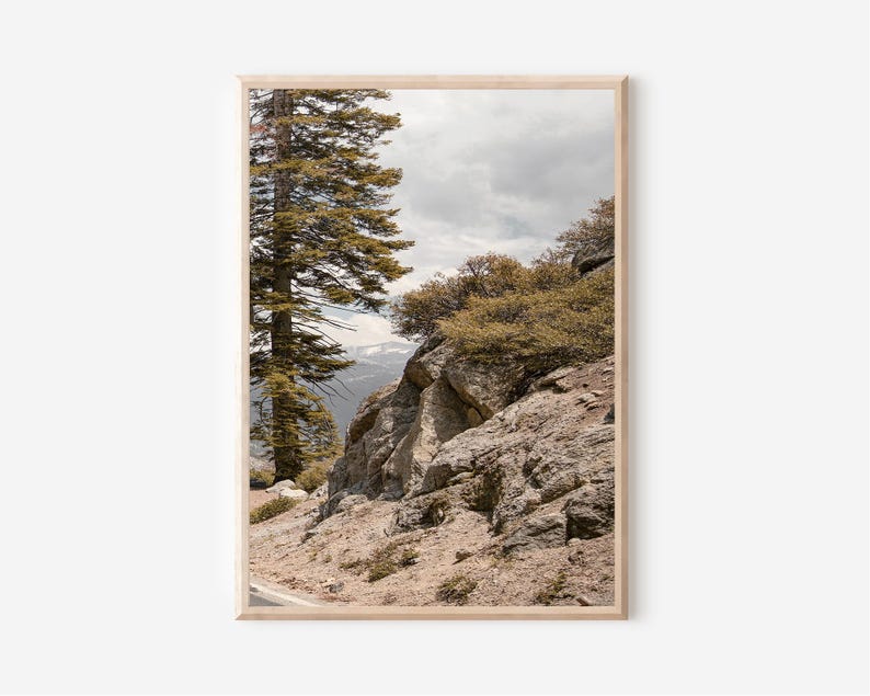 May include: A framed landscape print featuring a mountain scene. The image showcases a tall evergreen tree on the left, rocky terrain, and a view of snow-capped mountains under a cloudy sky. The print has a natural wood frame.