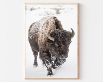 Bison Print, Buffalo Wall Art, Buffalo Print, American Bison Print, Southwestern Wall Art, Farmhouse Print, Wilderness Animal Print