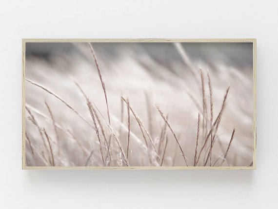 Samsung Frame TV Art, Frame Art TV, Pampas Art Print,Pampas Art TV, Botanical Art Tv, Farmhouse Dried Grass Print,Nature Wall Art,Samsung Tv