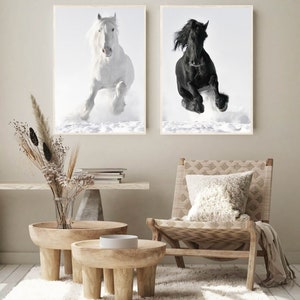 May include: Two framed black and white photographs of horses running through snow. The horse on the left is white and the horse on the right is black.
