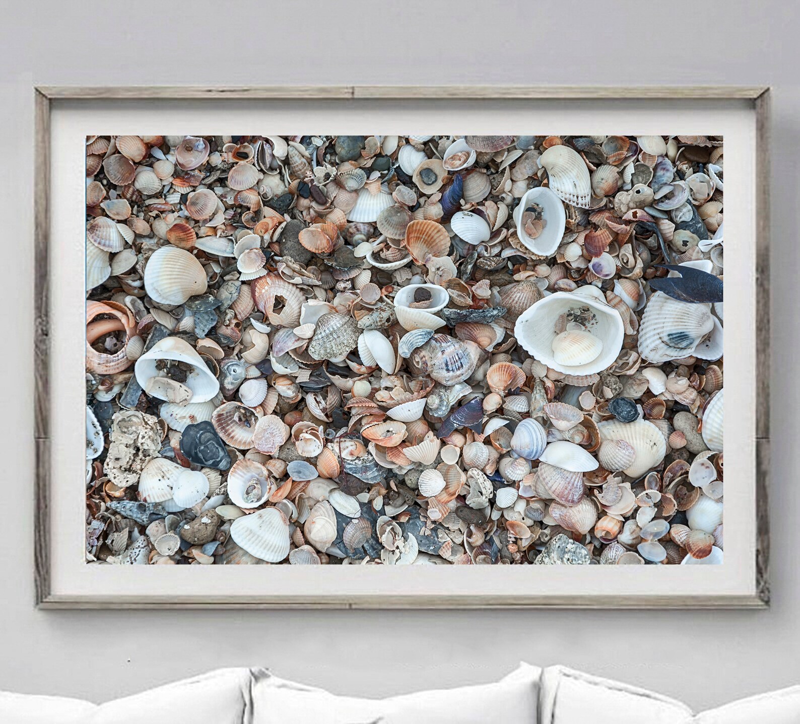 Sea Shells Wall Decor Sea Shells Art Digital Download Home Etsy