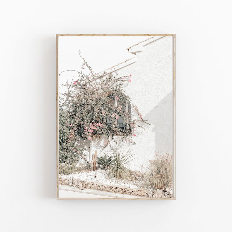 May include: A white building with a pink flowering vine growing up the side. The building has a window with a black frame and a white wall behind it. There are green plants and rocks in the foreground.