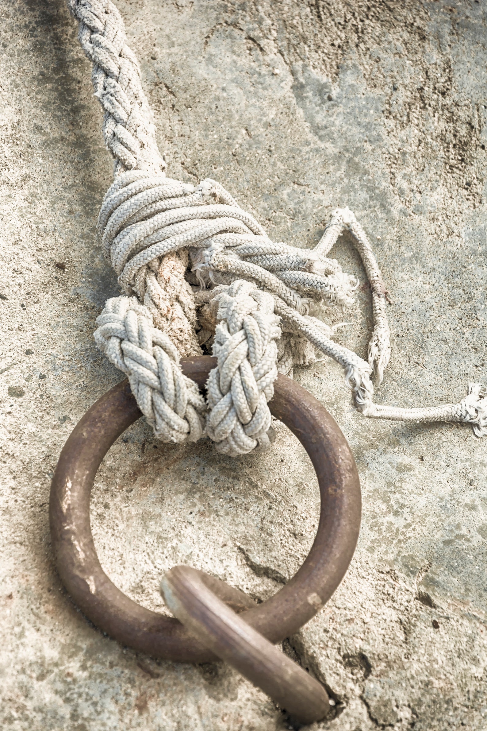 Boat Rope Print Nautical Knots Wall Art Decor Beach House Etsy