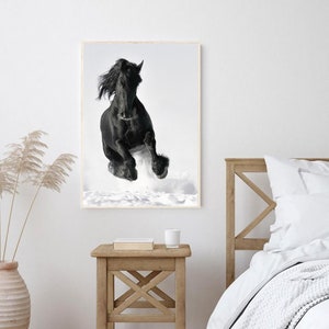 May include: A black horse leaps through the air, kicking up snow with its hooves. The horse is in mid-air, with its head turned towards the camera. The background is a snowy field.