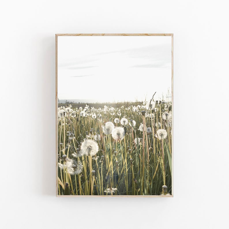 Maskrostryck, rustik kökskonst med maskrosmotiv, maskrosblomtryck, bondgårdsinredning, botaniskt tryck, digitaltryck, maskrosväggkonst bild 2