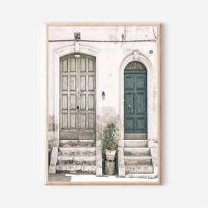 May include: Two doors, one painted a light wood color and the other a dark teal, are set into a white building with a potted plant in front of them. The doors are both arched and have steps leading up to them.